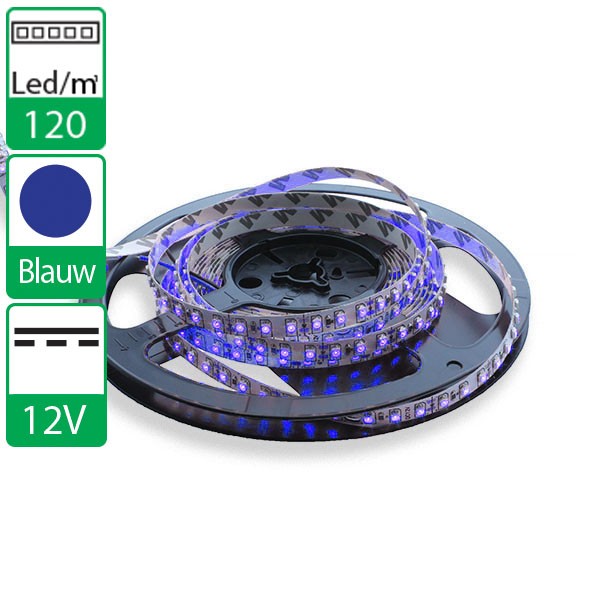 vervaldatum hoesten Edelsteen 1m smd flexibele LED strip blauw: LEDs-buy.nl het grootste online LED  assortiment